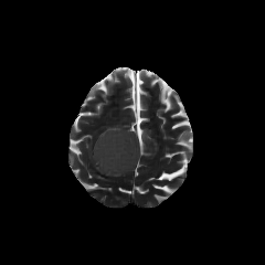 UniBrain Gen